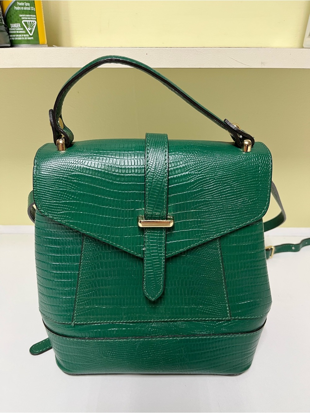 Divina Firenze (Made in Italy) Green Moc-Croc Leather Convertible Backpack